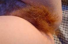 pussies pubes ginger xhamster dmca