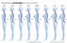 breast cup size weight spine reveals strain nearly increasing adds pound study
