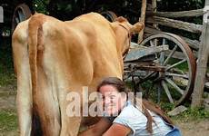 cow milking woman stock young alamy riverdale farm