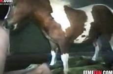 horse gay sex gets brutally horny videos brutal beast asshole craves slammed dick really ago years