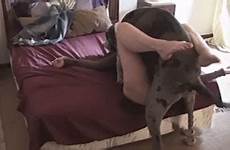 dog wife fucks caught hidden sex woman xxx camera fucking dane great pet videos her mom fucked pussy big homemade