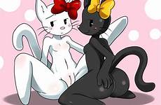 xxx kitty hello rule34 furry 34 rule cat nude female deletion flag options sssonic2 white pussy ass anthro