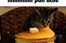 cat pancake