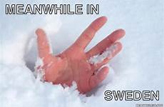 meanwhile sweden memes cold snow poor not deeper got has digging giant lot he don left