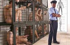 slaves boys caged enslaved carcel bdsmlr slavery kiezen mad