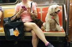 women subway manspreading woman ever young york dog spreading sitting public man their down cathy but seat nyc her pic