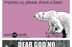 shaved bear terrifying bears most ever things funny choose board