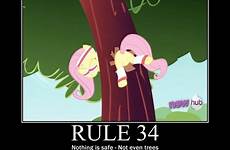 little pony rule 34 magic fluttershy friendship beware special safe worse mean upload videos trees nothing