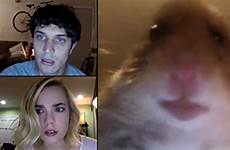 hamster webcam unfriended