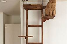 ladder gatti gatto towers torri tension trespolo alberi condo dibuat catio pohon dailysia kucing fatti