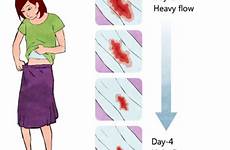 menstruation periods last long girl flow days blood amount her does girls first year menstrupedia if illustration physiology side regular