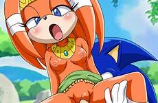 sonic hentai sex rouge bat wave tikal xxx unleashed mobius echidna female tails hedgehog girl sweet deletion flag options tumblr