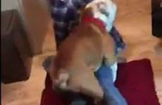 dog humping humps animal year old sofia her graham rubble rescue shared texas works three who