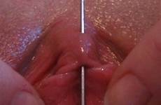 clit needle bdsm torture needles female extreme pussy clitoris piercing pussymodsgalore pain eu sex lang post painslut tumblr anal huge