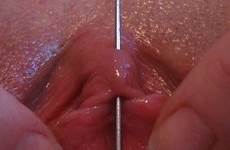 clit torture clitoris piercing needles pussymodsgalore hood labia sado piercings genital pierced tumbex sadism