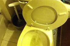 toilet pee properly