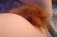 hairy pubes thick pussies vol