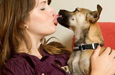 dog kissing kiss dogs girls bestiality kisses pets sex good their health canada university animal oral has legalizes