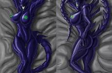 hentai alien xenomorph female rule dakimakura ass 34 xxx pussy grey big breasts foundry respond edit presenting