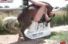 horse fucks cums guy zoo blowjob videos sex extreme its crazy scenes end femefun ago tail months years