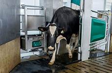 milking robotic robot systems dairy gea box tipping reaching point agupdate attachment steps process complete technology features made