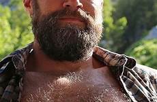 bear beard scruffy