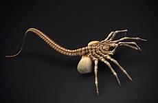 facehugger alien cartoon 3d