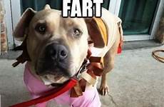 fart farting desicomments