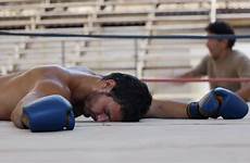 boxing ko man fighting ring knock video latino stock