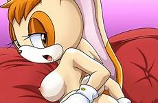 rabbit vanilla ass nude pussy spread rule34 sonic unleashed big deletion rule flag options edit post respond