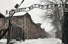 holocaust auschwitz denying