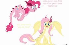 pony dragons fluttershy ponies pinkie rarity spike