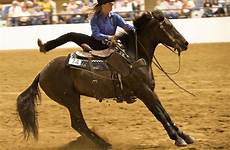 horse wild ride horses before mustangs them preview whisper days cowgirl trainer review luck tame fort worth works better each