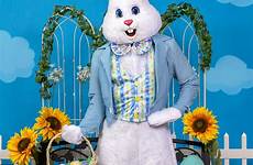 easter bunny costume adult deluxe size costumes outfit sales halloweencostumes halloween buy easterbunny share google twitter