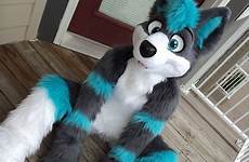 fursuit fursuits cosmic costumes husky cosplay seemed took anthro anthropomorphic thanksss