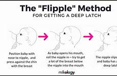 breastfeeding latching latch infographics
