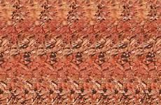 stereogram sexy erotic stereograms 3d hidden magic eye boring figured ones few ever leave most so here woman imgur nude