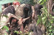 gif cannibal holocaust 1980 tumblr gore penis castration nsfw animated cock ruggero deodato