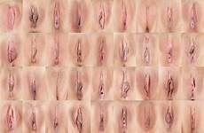 different vagina types shapes vulva sizes vigina lips collage vaginas naked pussy female shape men viginas vjj sex lip sexinfo