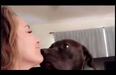 dog licking girl pretty