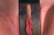 chastity insex 2005 tumbex