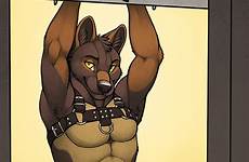 nude male furry anthro shepherd german penis options canine viewer deletion flag