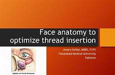 insertion face thread anatomy