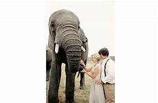 safari elephants popsugar african south wedding sex