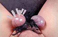 skewering needles testicle cbt