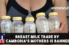 milk breast trade cambodia