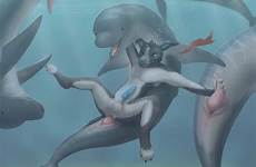 dolphin e621 underwater handjob feral penis interspecies knot bestiality zoophilia canine anthro slit tbib
