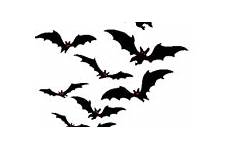 bats halloween flying transparent graphics clipart colony