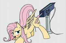 gif mlp pony little fluttershy sex nide friendship magic animated rule respond edit