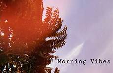 morning vibes wallpapers wallpaper